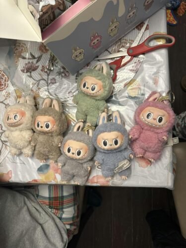 THE MONSTERS Labubu Big into Energy Series-Vinyl Plush Pendant Blind Box photo review