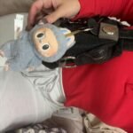 THE MONSTERS Labubu Big into Energy Series-Vinyl Plush Pendant Blind Box photo review