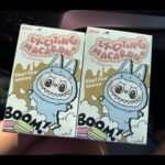 LABUBU THE MONSTERS - Have a Seat Vinyl Plush Dolls, Blind Box photo review