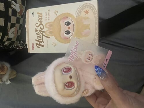 LABUBU THE MONSTERS - Have a Seat Vinyl Plush Dolls, Blind Box photo review