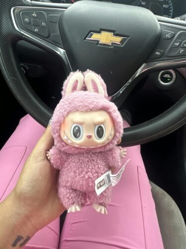 THE MONSTERS Labubu Big into Energy Series-Vinyl Plush Pendant Blind Box photo review